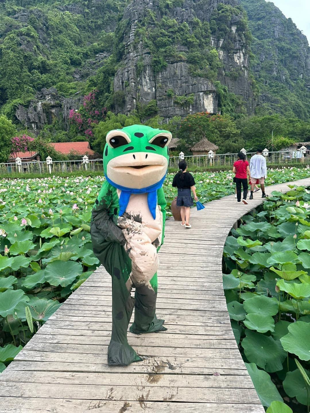 Nhiều người đã bày tỏ cảm xúc: "Haha đã là ếch mà còn đòi sống ảo", "cái kết cho người muốn làm lố này", "chắc bản năng trỗi dậy, ra đến đầm sen thì nhảy xuống là đúng rồi haha".