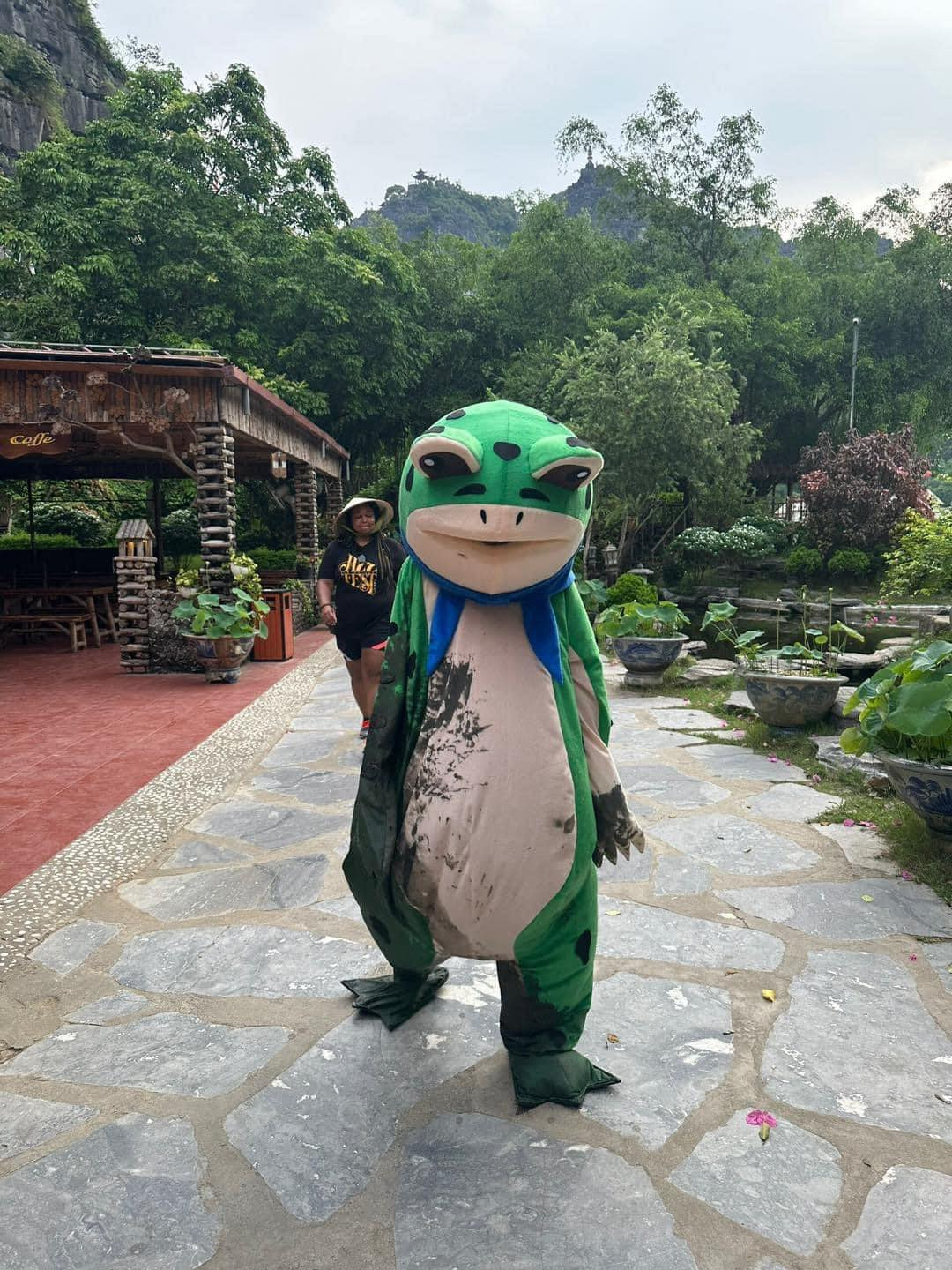 Chú ếch lầm lũi bỏ về, kết thúc một buổi chụp ảnh "sống ảo" bất thành.