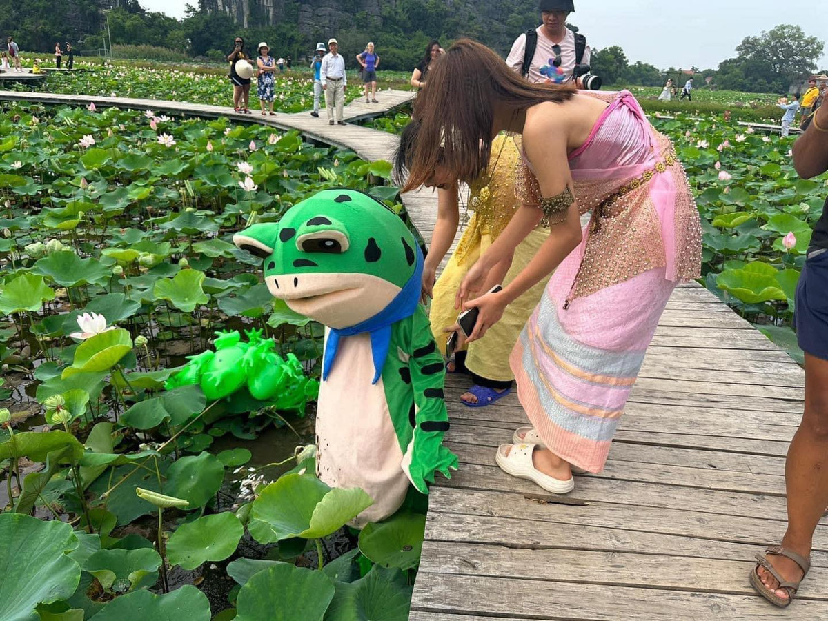 Thế nhưng đây là kết quả sau đó không lâu. Vì ngồi không giữ thăng bằng nên "ếch báo" ngã xuống hồ sen. Nhiều du khách đã lại đỡ.