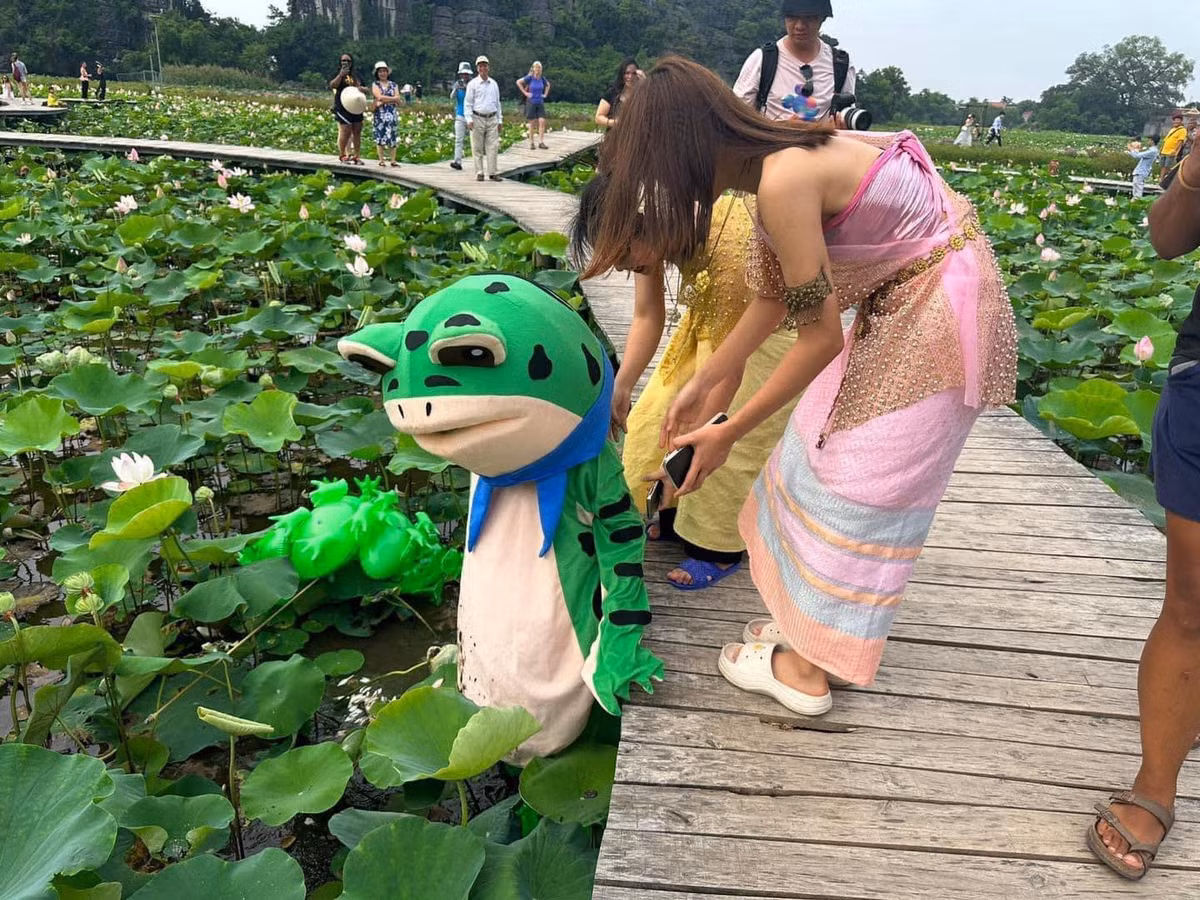 Thế nhưng đây là kết quả sau đó không lâu. Vì ngồi không giữ thăng bằng nên "ếch báo" ngã xuống hồ sen. Nhiều du khách đã lại đỡ.
