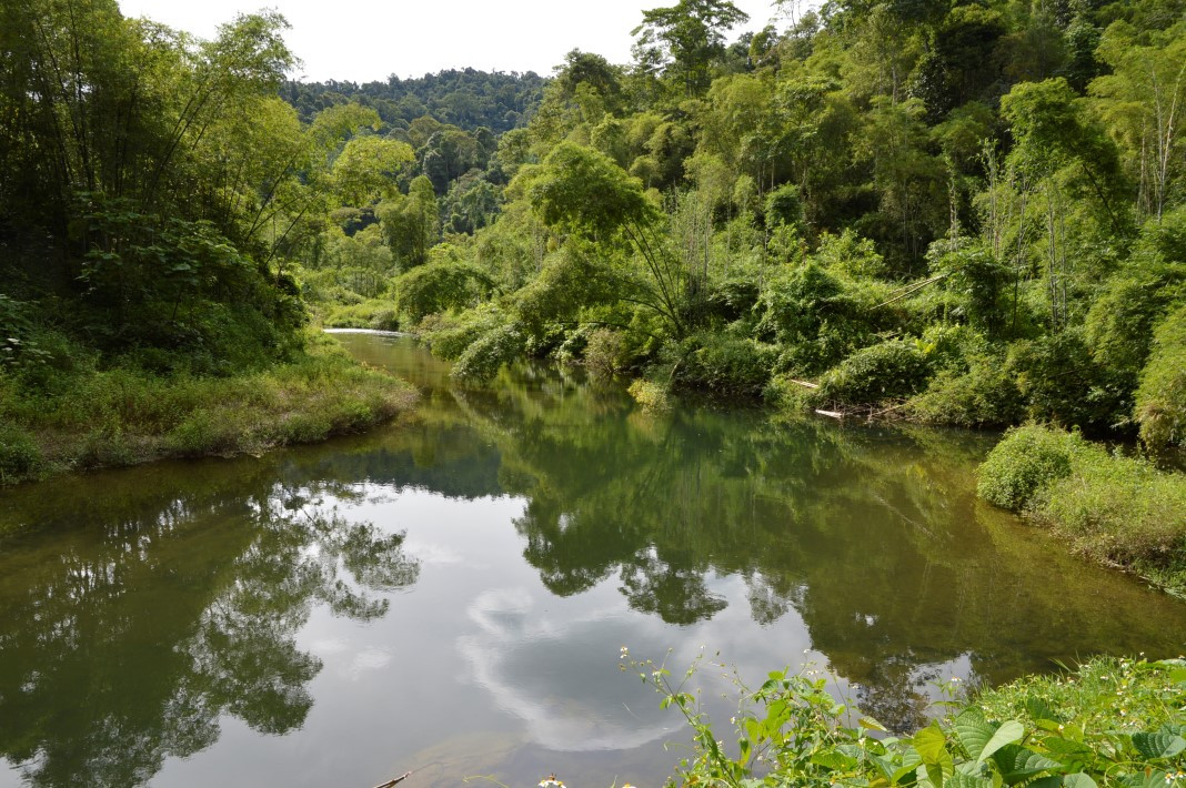 Vườn quốc gia Pù Mát sở hữu nhiều suối, thác nước…thích hợp cho du khách thư giãn và giải nhiệt. Ảnh: Hải Dương
