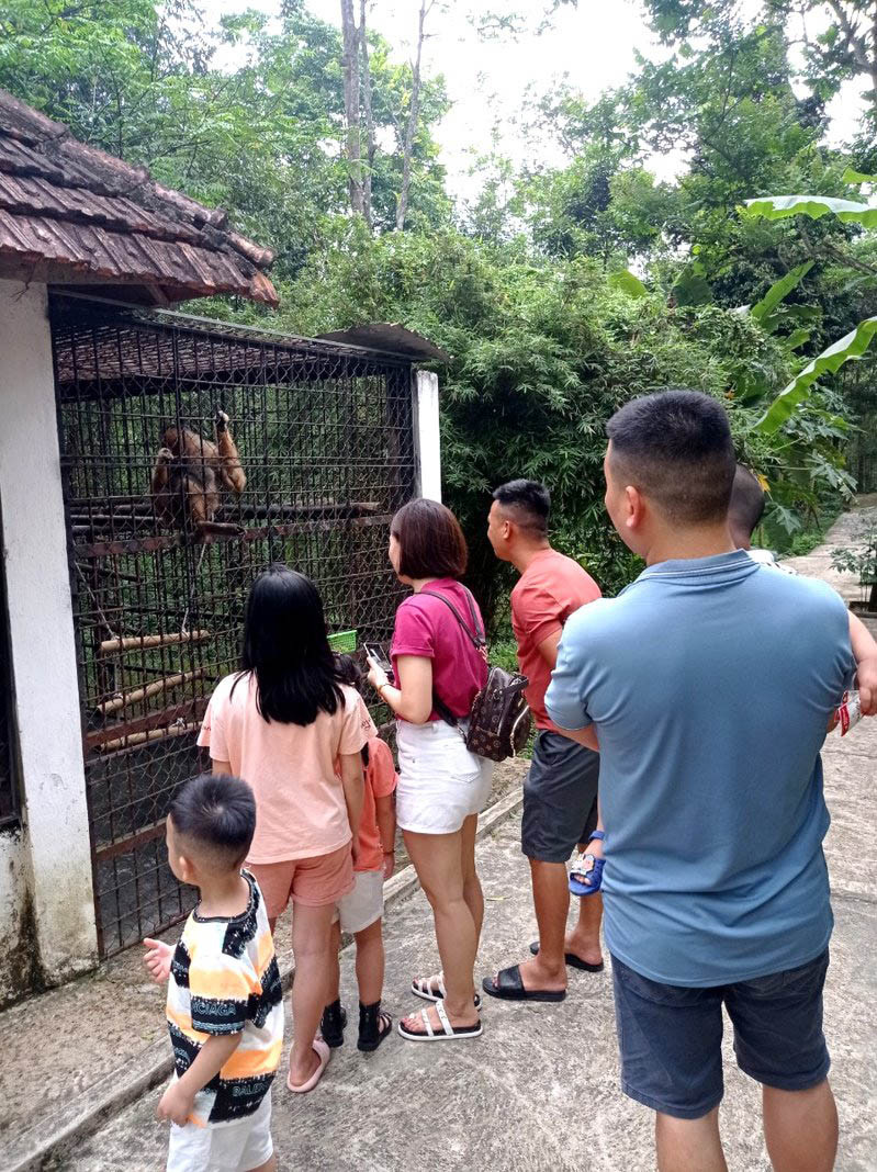 Du khách thích thú ngắm các loài động vật. Ảnh: Hải Dương