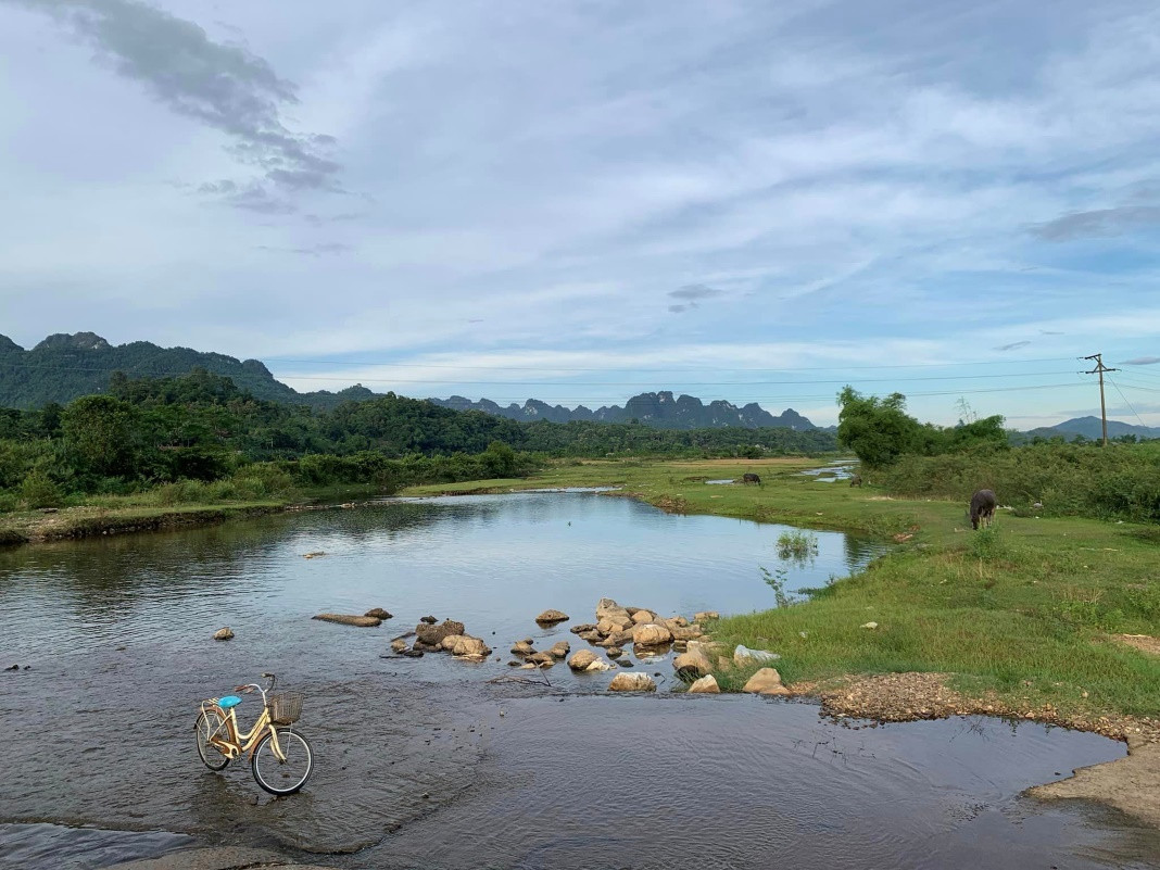Cảnh quan thiên nhiên xanh mát trong Vườn. Ảnh: Hải Dương