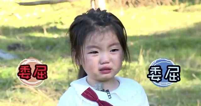 Arale Thôi Nhã Hàm sinh năm 2012 ở Quảng Đông, Trung Quốc. Vì có ngoại hình dễ thương, hoạt bát như nhân vật Arale trong bộ truyện tranh Dr. Slump, nên cô bé được mọi người gọi với cái tên này.