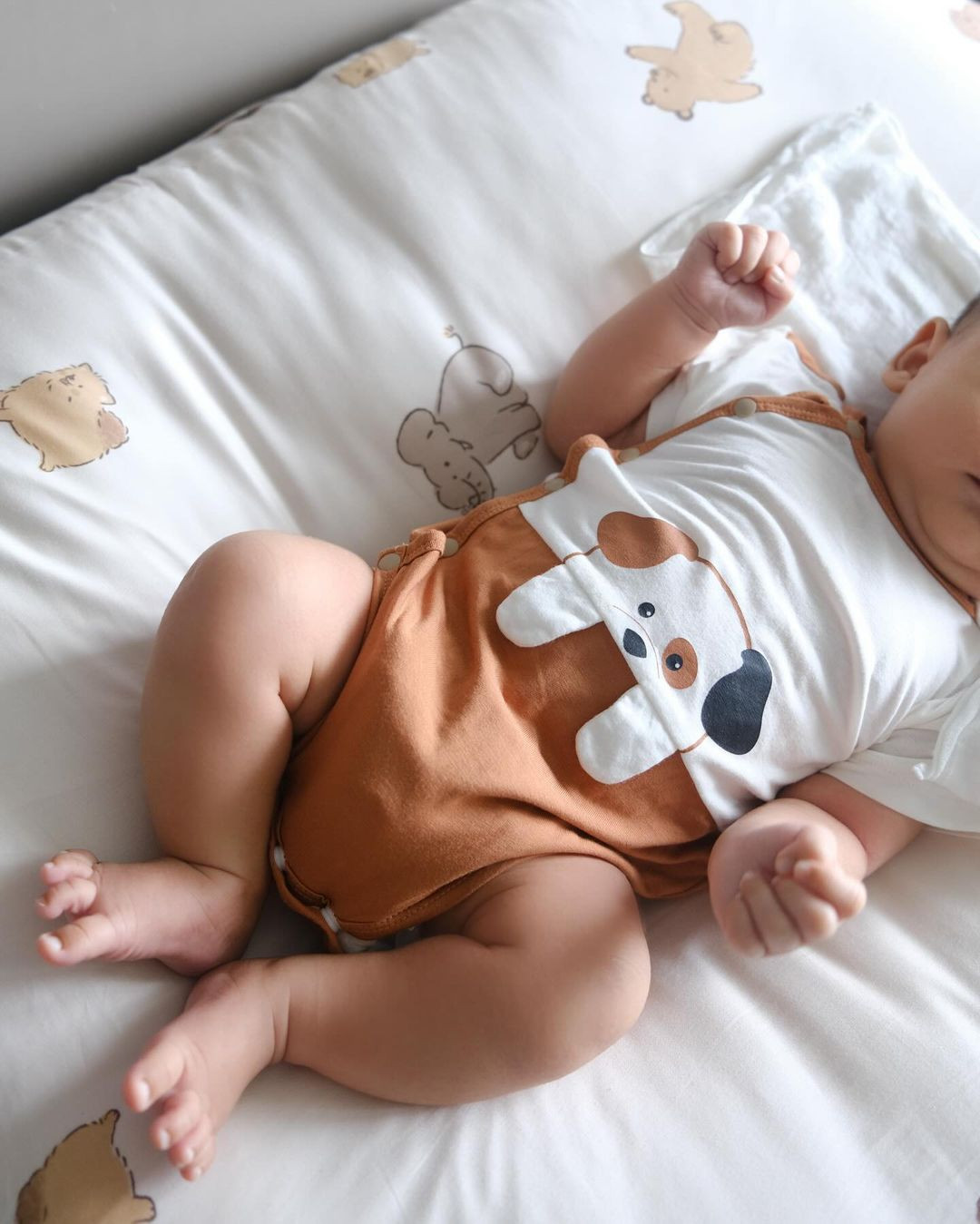 Nhiều người đoán rằng đây chắc hẳn là một "thế lực nhí" trong tương lai.