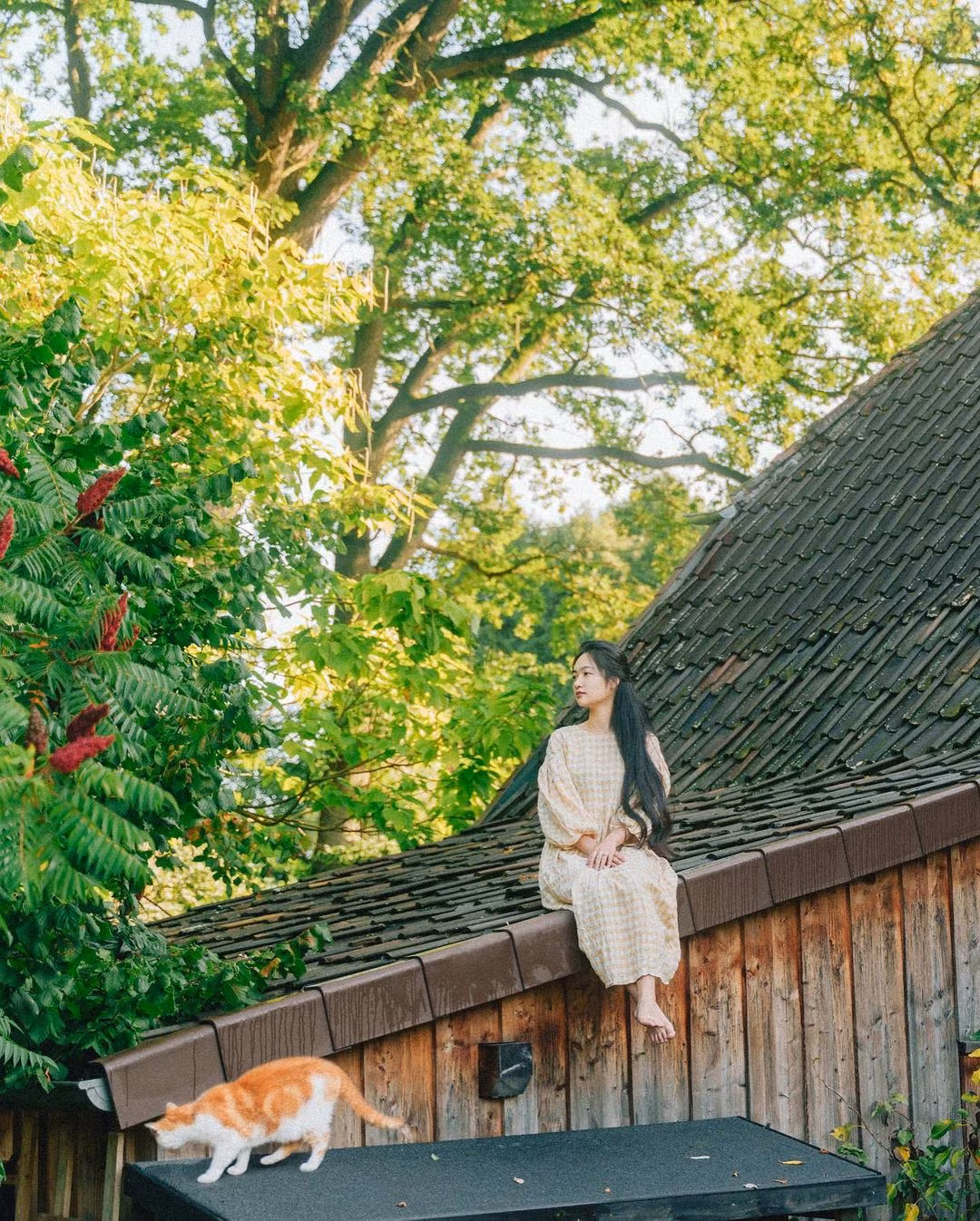 Từng thước phim của Her 86m2 đều tràn ngập cây, hoa và những món ăn đẹp mắt. Phong cách của cô nàng cũng rất nhẹ nhàng với những chiếc váy suông nhạt màu, mái tóc dài đen thả truyền thống tựa nàng thơ.