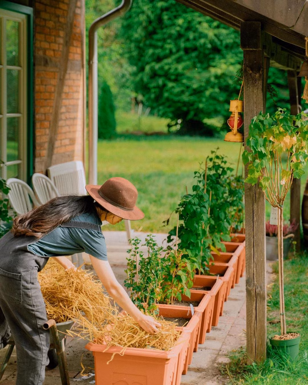 Từ màu sắc, góc quay, cảnh vật cho đến câu chuyện trong mỗi video đều được tạo dựng tỉ mỉ và vô cùng hài hoà, tự nhiên. Nhiều người cảm giác như bước vào một thế giới cổ tích được chủ kênh tạo dựng.