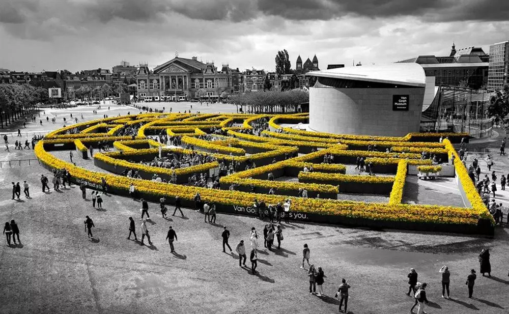 Toàn cảnh mê cung hoa hướng dương. (Ảnh: Nils Van Houts)