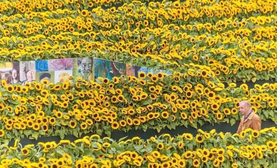 Bảo tàng Van Gogh tọa tại trung tâm thành phố Amsterdam xinh đẹp, lần đầu được mở cửa vào năm 1973. (Ảnh: Getty)