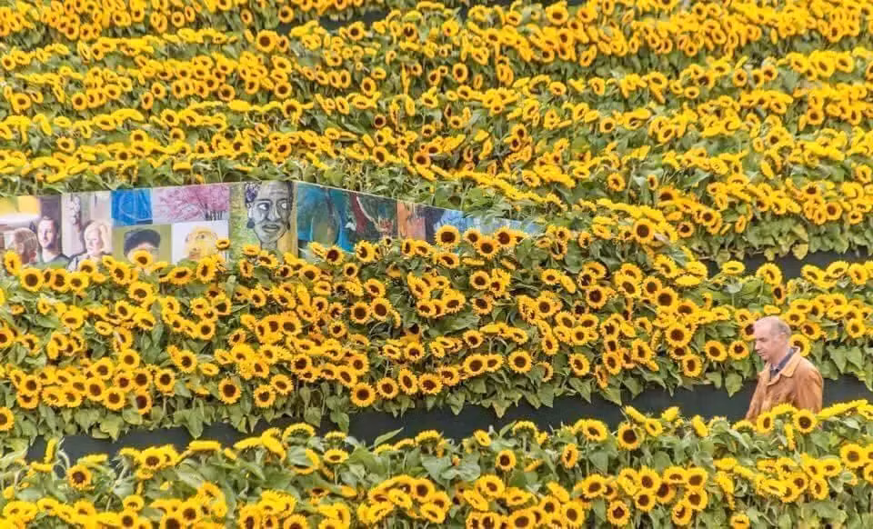 Bảo tàng Van Gogh tọa tại trung tâm thành phố Amsterdam xinh đẹp, lần đầu được mở cửa vào năm 1973. (Ảnh: Getty)