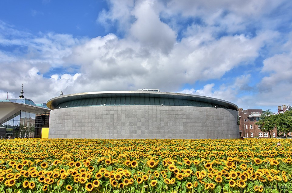 Đây cũng là lý do trước cửa bảo tàng trung bày các tác phẩm cố họa sĩ trồng loại hoa này. (Ảnh: Pinterest)