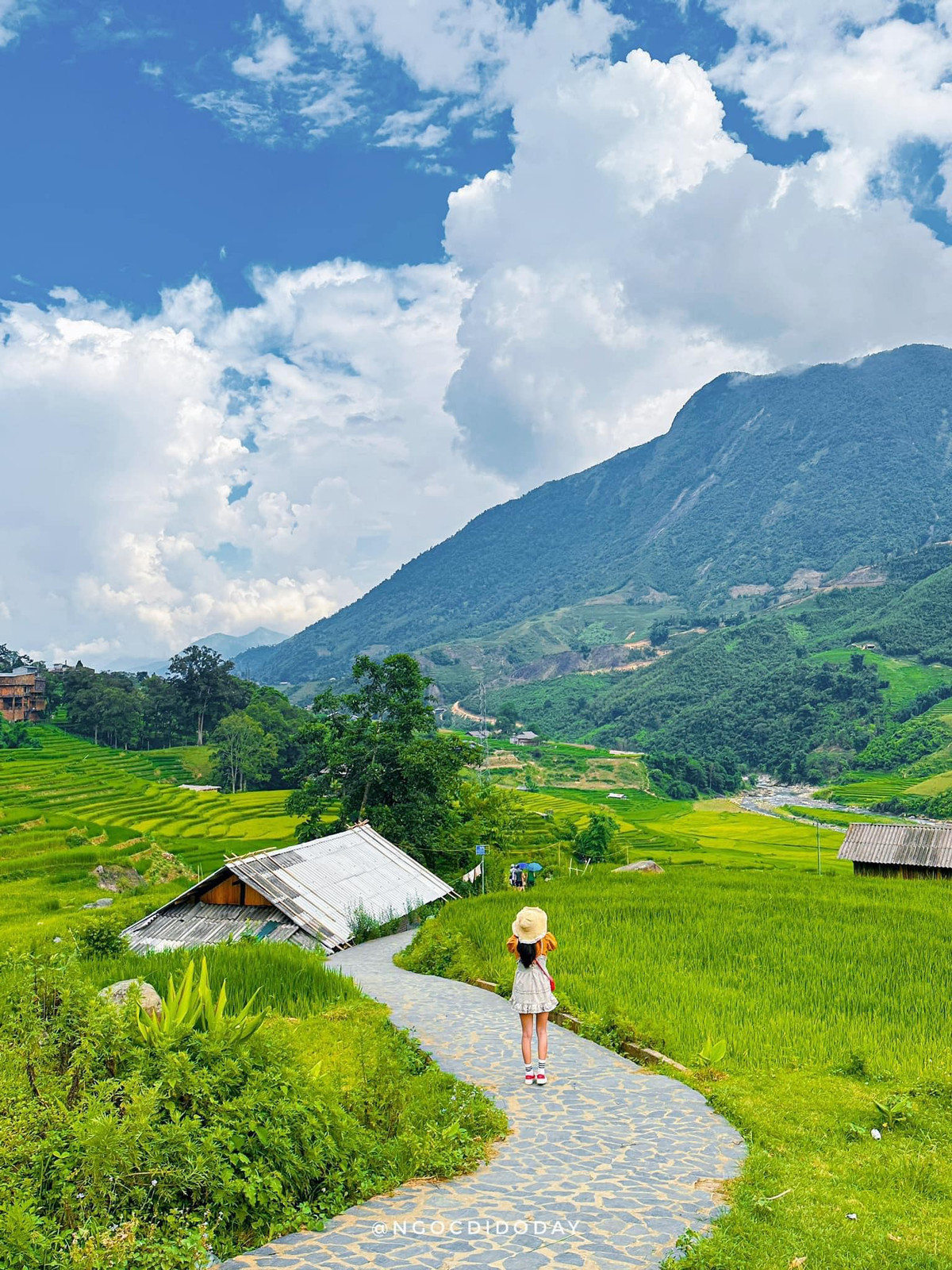 Mùa lúa chỉ kéo dài khoảng 2-3 tháng, thường từ tháng 8 đến tháng 11, trước khi những người nông dân thu hoạch mùa màng, để chuẩn bị cho vụ lúa tiếp theo.