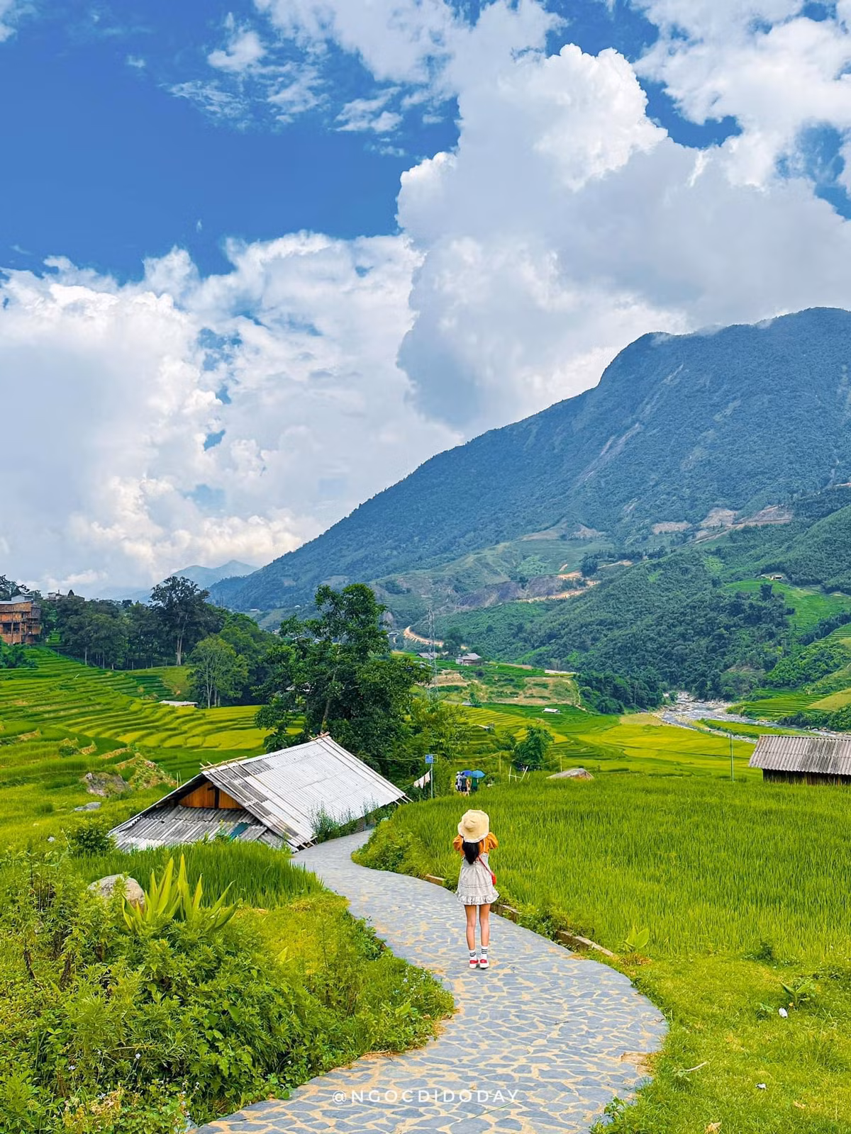 Mùa lúa chỉ kéo dài khoảng 2-3 tháng, thường từ tháng 8 đến tháng 11, trước khi những người nông dân thu hoạch mùa màng, để chuẩn bị cho vụ lúa tiếp theo.