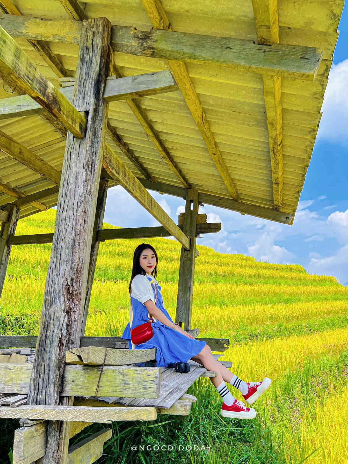 Nhiều bạn trẻ đến đây đều phải thốt lên "chỉ cần giơ máy lên thôi là đã có ảnh đẹp rồi".