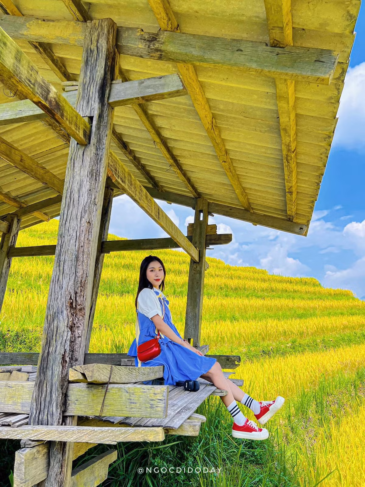 Nhiều bạn trẻ đến đây đều phải thốt lên "chỉ cần giơ máy lên thôi là đã có ảnh đẹp rồi".