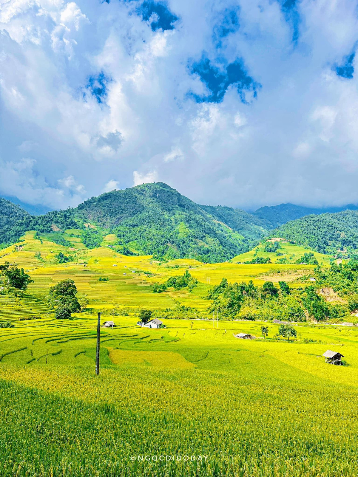 "Thi thoảng có những căn nhà nhỏ để bà con canh tác lúa, khi thì là kho đựng thóc...điểm tô cho những tràn ruộng bậc thang nơi lưng núi thêm đẹp, tạo nên bức tranh mùa Thu đầy sống động." - chia sẻ của một bạn nữ đã có dịp đến với Nậm Cang mùa lúa.