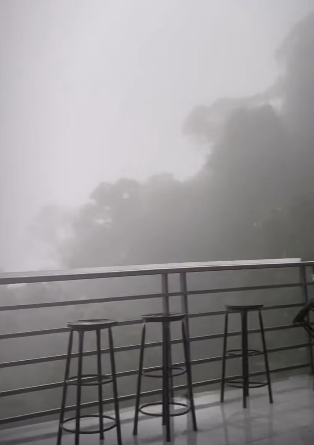 Tầm nhìn xa mấy chục mét trong sương...