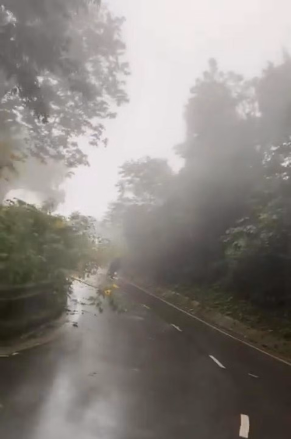 Trên các hội nhóm chia sẻ kinh nghiệm du lịch, một nhóm bạn cũng đã chia sẻ hình ảnh "oái oăm" về hành trình săn mây ở Ba Vì của mình.