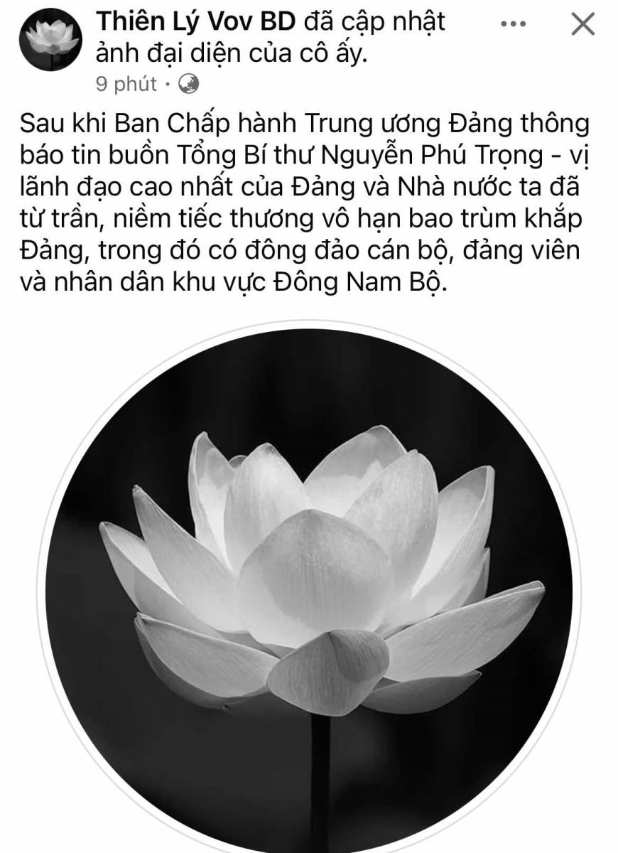 Ảnh đại diện được thay bằng đóa hoa sen màu trắng trên nền đen.
