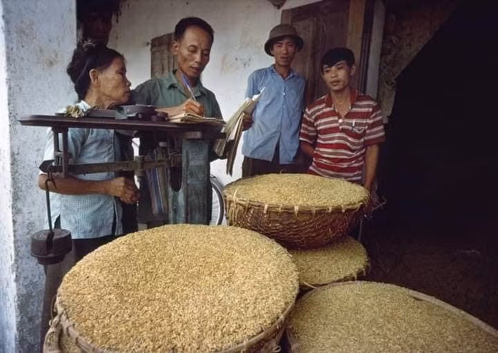 Hình ảnh sau một vụ mùa.