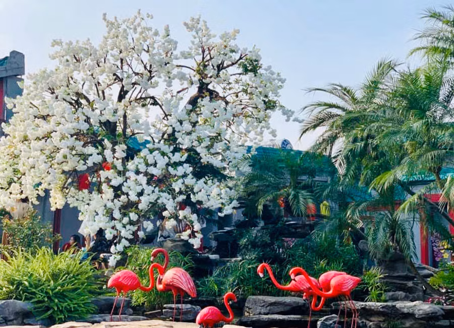 Toi da thanh ong chu ma vo van ngoai tinh