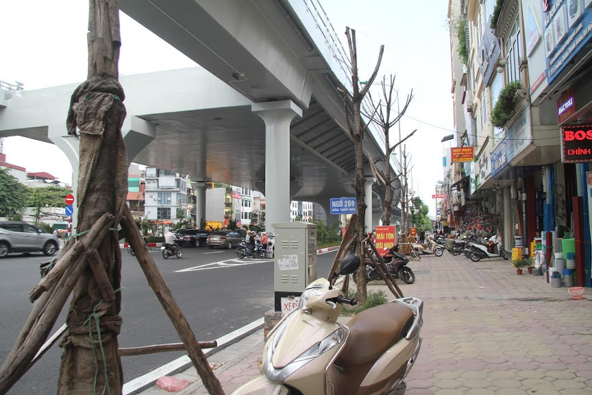 Một số cây chết trên vỉa hè đường Trường Chinh vẫn còn mảnh tải dính ở thân.