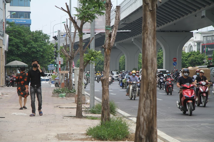 Theo quan sát của PV Kiến Thức, tại đường Trường Chinh, đoạn từ ngã tư Lê Trọng Tấn đến gần cầu vượt Ngã Tư Sở (Hà Nội), dù mới được trồng cách đây khoảng nửa năm, nhưng rất nhiều cây xanh đã bị chết.