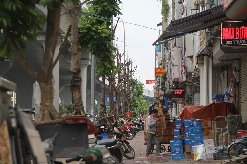 Một số cây may mắn vẫn sống sót, nhưng cũng đang trong tình trạng thoi thóp. Thậm chí, người dân có thể dễ dàng bóc được lớp vỏ ngoài của cây.