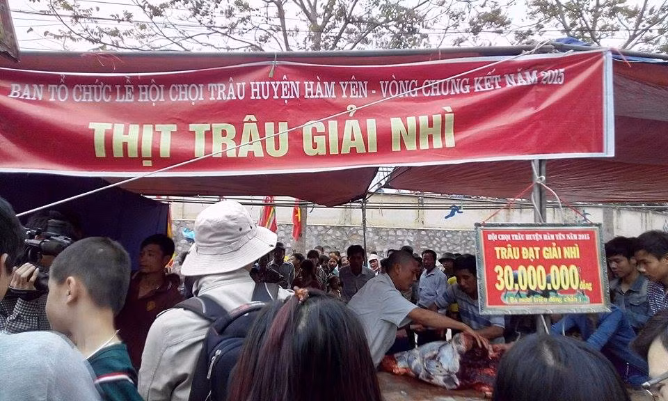 60.000 nguoi chen nhau xem hoi choi trau Ham Yen 2015-Hinh-14