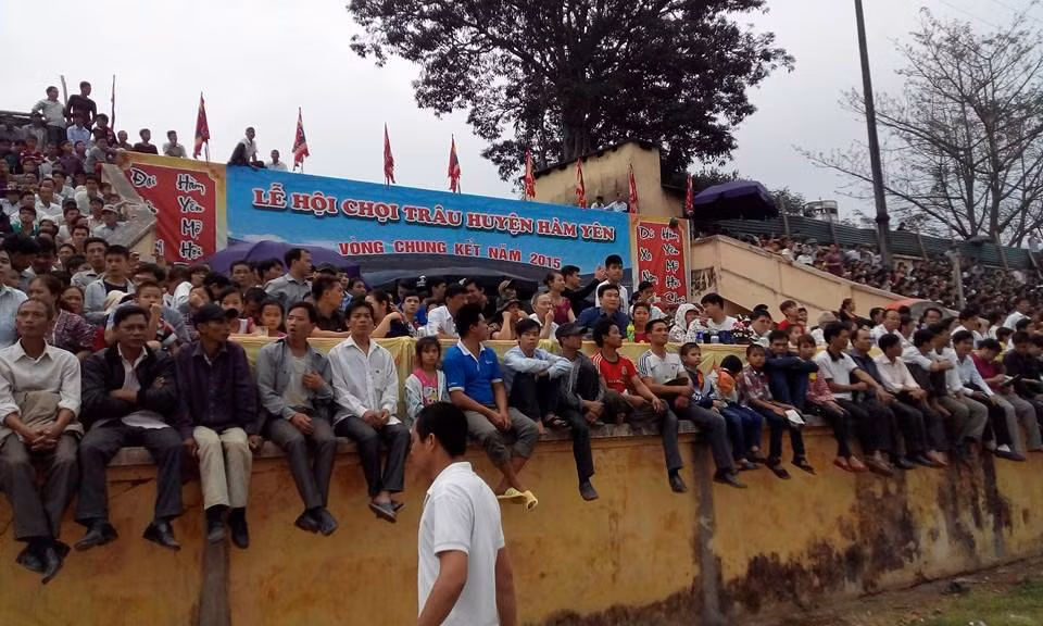 60.000 nguoi chen nhau xem hoi choi trau Ham Yen 2015-Hinh-5