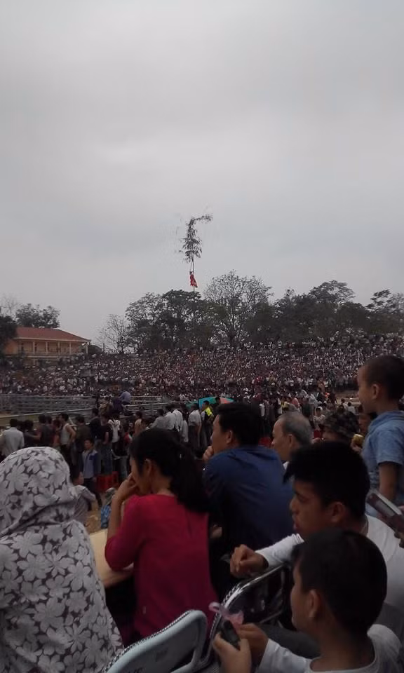 60.000 nguoi chen nhau xem hoi choi trau Ham Yen 2015-Hinh-3