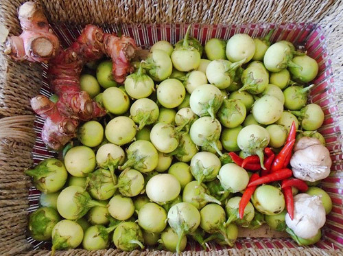 Cà pháo sau khi mua về đem phơi ra trời nắng vừa khoảng 3-4 tiếng để cà héo, cho bớt nhựa. Cách này giúp cà khi muối sẽ giòn hơn.