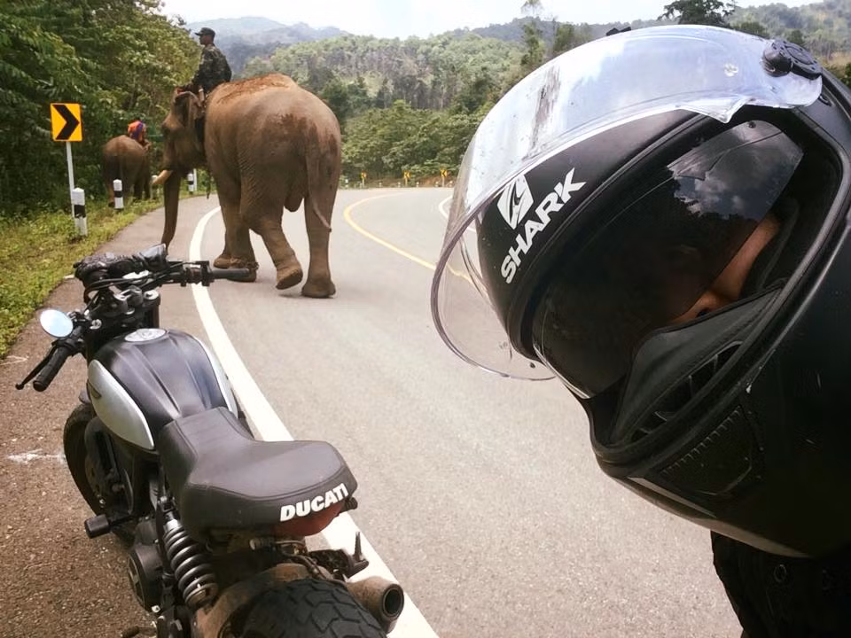 Ngôi sao "Siêu trộm" trên đường ở Mae Hong Son (Thái Lan).