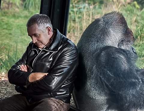 Harry cũng rất thân thiện, tương tác vui vẻ với du khách. Hiện, sở thú Dublin đang chờ đợi kết quả cuối cùng của lần mổ tử thi để xác định nguyên nhân chính xác về việc ra đi đột ngột của Harry. (Nguồn Dodo)