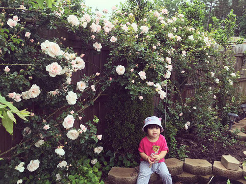 Một thời gian sau, khi sang Mỹ sinh sống cùng chồng con và mua được nhà riêng, chị mới có thể gây dựng khu vườn nhỏ của riêng mình. Bên cạnh công việc stylist và make-up artist (chuyên gia trang điểm), thời gian rảnh chị lại chăm chút cho khu vườn hoa và rau xanh tốt.