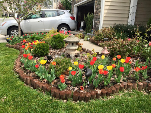 Mùa xuân, ngôi nhà lại có thêm những sắc màu sặc sỡ của khóm hoa tulip.