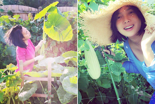 Bầu bí, dọc mùng cũng được chủ vườn xinh đẹp cất công đem giống từ Việt Nam sang trồng.