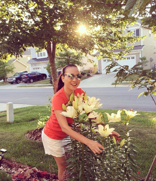 Hoa ly cũng là loài hoa được chủ vườn ưa chuộng và trồng các loại đủ màu ngay trước thềm nhà.