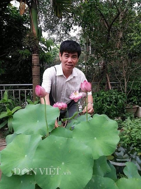 Từ một nhánh sen nhỏ giống cung đình, anh Điệp đã ươm trồng được mấy chục chậu sen. Tất cả lu, chum, vại, chậu cây bonsai… đều được anh tận dụng trồng sen rất hiệu quả và tạo phong cách lạ. Khuôn viên rộng gần 1.000 m2 của nhà anh Điệp sau 5 năm đã phủ kín hoa sen. Những chậu sen đẹp nhất được anh đưa vào cạnh thềm ngay trước bàn uống nước để khách đến nhà có thể vừa uống trà vừa ngắm sen.