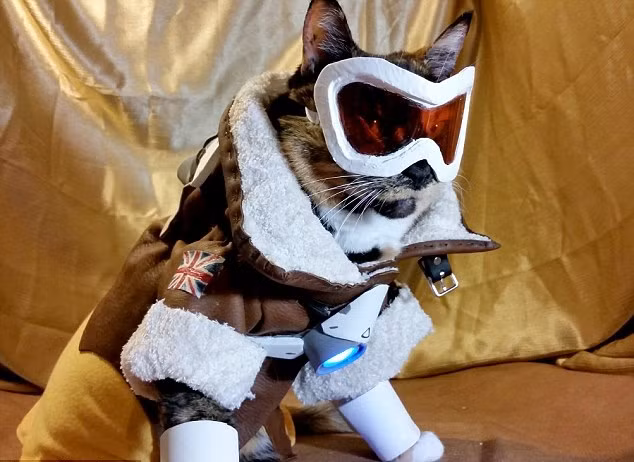 Nak và Fawkes sở hữu lượng người hầm mộ lên đến hàng chục ngàn người, con số này đang không ngừng tăng lên sau khi những hình ảnh của đôi mèo được các trang báo mạng nổi tiếng thế giới liên tục đăng tải. (Nguồn Dailymail)