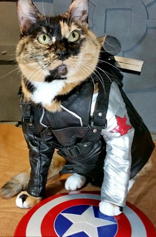 Nak trong tạo hình Chiến binh mùa đông cực điển trai, cuốn hút, nhân vật nổi tiếng với khuôn mặt lạnh lùng, tài đánh đấm siêu việt trong loạt phim về các siêu anh hùng của vũ trụ điện ảnh Marvel. (Nguồn Dailymail)