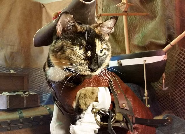 Nak và Fawkes chủ yếu cosplay các đại nhân vật trong các bộ phim khoa học viễn tưởng, những bộ phim có tính chất bi hùng, sử thi. Hình ảnh của Nak và Fawkes cũng được xây dựng theo phong cách "ngầu" nhất có thể. (Nguồn Dailymail)