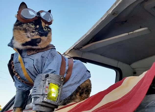 Nak vào vai nhân vật chính của trò chơi video nổi tiếng thế giới Fallout. (Nguồn Dailymail)