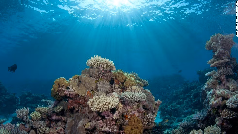 Các đại dương của Trái đất chứa khoảng 97% tổng lượng nước trên toàn bộ hành tinh. Tuy vậy con người không thể sử dụng loại nước này trong sinh hoạt bởi vì đây là nước mặn. (Nguồn Lolwot)