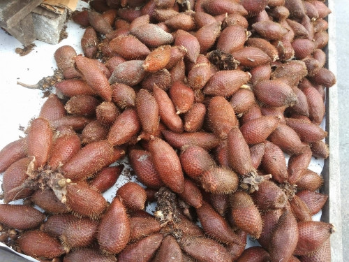 Quả mây Thái thực chất là một loại quả trồng được ở Việt Nam và chúng có tên là trái mây hoặc mây gai.