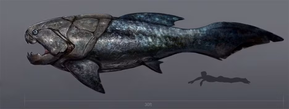 Dunkleosteus, là một chi cá da phiến tuyệt chủng, từng tồn tại vào cuối kỷ Devon, khoảng 380–360 triệu năm trước. Đây cũng là loài cá da phiến lớn nhất từng sinh tồn, có thể dài tới 10m, là sinh vật săn mồi đầu bảng, tung hoành khắp các đại dương săn cá mập trong khoảng 20 triệu năm. (Nguồn Emgn)