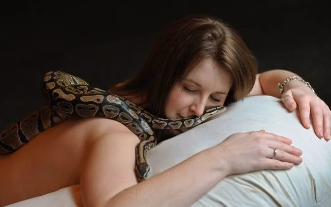 Sau sự việc, người phụ nữ đã nhận được bài học thích đáng về việc nuôi thú cưng và chắc chắn sẽ tránh xa con trăn xảo quyệt trong khoảng cách an toàn. (Nguồn Boredomtherapy)