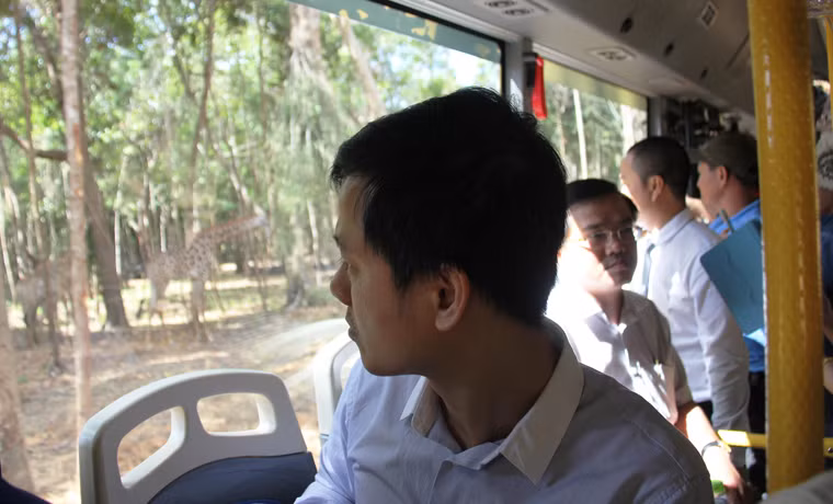 Du khách say sưa ngắm nhìn muôn thú tại Vinpearl Safari qua cửa kính xe chuyên dụng.