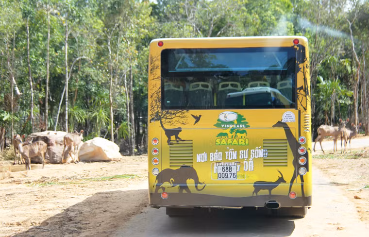Khu bán hoang dã (safari park) cho phép chở khách tham quan bằng xe chuyên dùng với hình thức "thú thả, người nhốt" độc đáo, lần đầu tiên có mặt tại Việt Nam.