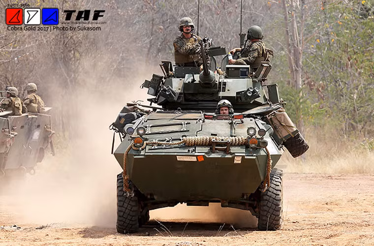 LAV-25 có thể chở được 6 binh sĩ cùng kíp lái 3 người. Hỏa lực có tháp pháo tự động M242 25mm tốc độ cao cùng 2 đại liên M240 7,62mm. Nguồn ảnh: TAF